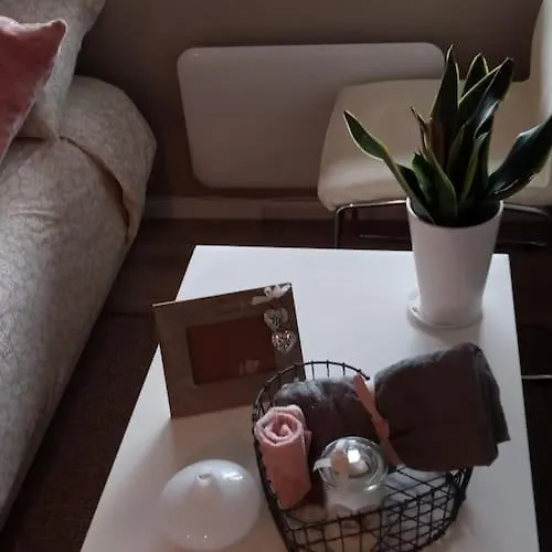 Adorable 1-bedroom With A Fantastic View - Free Parking Lejlighed